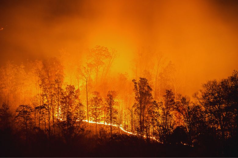 Remembering the 2016 Gatlinburg Fire